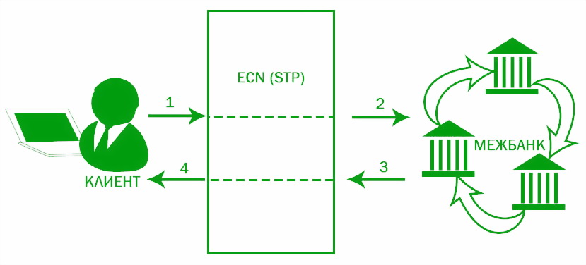 Ecn broker сайт. Технология СТП. Kaizen stp1006. Вклад шат STP схема. NDD брокеры что это.